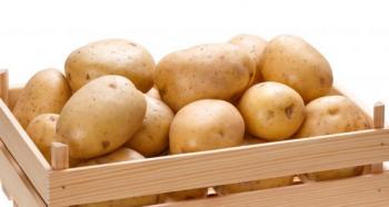 Как хранить картофель в квартире и погребе: полезные советы и секреты В чем лучше хранить картошку в квартире